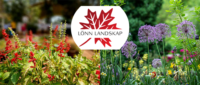 Lönn Landskap – 15 % rabatt på trädgårdsskötsel!